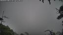 ./images/calvert/fitz-hugh-hecate/20250809/fitz-hugh-hecate20250809_174009M.jpg