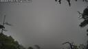 ./images/calvert/fitz-hugh-hecate/20250809/fitz-hugh-hecate20250809_174509M.jpg