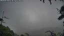 ./images/calvert/fitz-hugh-hecate/20250809/fitz-hugh-hecate20250809_175510M.jpg