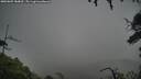 ./images/calvert/fitz-hugh-hecate/20250809/fitz-hugh-hecate20250809_180015M.jpg