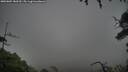 ./images/calvert/fitz-hugh-hecate/20250809/fitz-hugh-hecate20250809_180510M.jpg