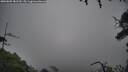 ./images/calvert/fitz-hugh-hecate/20250809/fitz-hugh-hecate20250809_181510M.jpg