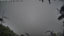 ./images/calvert/fitz-hugh-hecate/20250809/fitz-hugh-hecate20250809_182009M.jpg