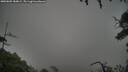 ./images/calvert/fitz-hugh-hecate/20250809/fitz-hugh-hecate20250809_184009M.jpg