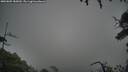 ./images/calvert/fitz-hugh-hecate/20250809/fitz-hugh-hecate20250809_185010M.jpg