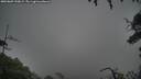 ./images/calvert/fitz-hugh-hecate/20250809/fitz-hugh-hecate20250809_190009M.jpg