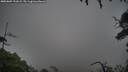 ./images/calvert/fitz-hugh-hecate/20250809/fitz-hugh-hecate20250809_191009M.jpg