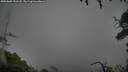 ./images/calvert/fitz-hugh-hecate/20250809/fitz-hugh-hecate20250809_191508M.jpg
