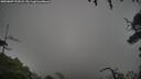 ./images/calvert/fitz-hugh-hecate/20250809/fitz-hugh-hecate20250809_192008M.jpg
