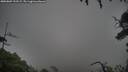 ./images/calvert/fitz-hugh-hecate/20250809/fitz-hugh-hecate20250809_192509M.jpg