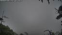 ./images/calvert/fitz-hugh-hecate/20250809/fitz-hugh-hecate20250809_193009M.jpg