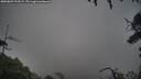 ./images/calvert/fitz-hugh-hecate/20250809/fitz-hugh-hecate20250809_193508M.jpg