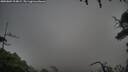 ./images/calvert/fitz-hugh-hecate/20250809/fitz-hugh-hecate20250809_194009M.jpg