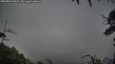 ./images/calvert/fitz-hugh-hecate/20250809/fitz-hugh-hecate20250809_195008M.jpg