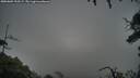 ./images/calvert/fitz-hugh-hecate/20250809/fitz-hugh-hecate20250809_195509M.jpg
