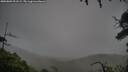 ./images/calvert/fitz-hugh-hecate/20250809/fitz-hugh-hecate20250809_201508M.jpg