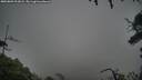 ./images/calvert/fitz-hugh-hecate/20250809/fitz-hugh-hecate20250809_202007M.jpg