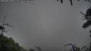./images/calvert/fitz-hugh-hecate/20250809/fitz-hugh-hecate20250809_202508M.jpg