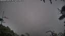./images/calvert/fitz-hugh-hecate/20250809/fitz-hugh-hecate20250809_203508M.jpg