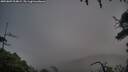 ./images/calvert/fitz-hugh-hecate/20250809/fitz-hugh-hecate20250809_204009M.jpg