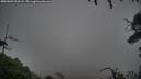 ./images/calvert/fitz-hugh-hecate/20250809/fitz-hugh-hecate20250809_204508M.jpg
