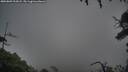 ./images/calvert/fitz-hugh-hecate/20250809/fitz-hugh-hecate20250809_205008M.jpg