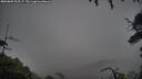 ./images/calvert/fitz-hugh-hecate/20250809/fitz-hugh-hecate20250809_205507M.jpg
