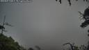 ./images/calvert/fitz-hugh-hecate/20250809/fitz-hugh-hecate20250809_210009M.jpg