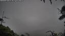 ./images/calvert/fitz-hugh-hecate/20250809/fitz-hugh-hecate20250809_210508M.jpg