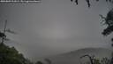 ./images/calvert/fitz-hugh-hecate/20250809/fitz-hugh-hecate20250809_211009M.jpg