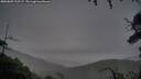 ./images/calvert/fitz-hugh-hecate/20250809/fitz-hugh-hecate20250809_212506M.jpg