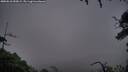 ./images/calvert/fitz-hugh-hecate/20250810/fitz-hugh-hecate20250810_055009M.jpg