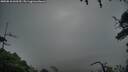 ./images/calvert/fitz-hugh-hecate/20250810/fitz-hugh-hecate20250810_060510M.jpg
