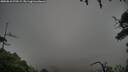 ./images/calvert/fitz-hugh-hecate/20250810/fitz-hugh-hecate20250810_070509M.jpg