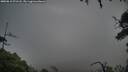 ./images/calvert/fitz-hugh-hecate/20250810/fitz-hugh-hecate20250810_071508M.jpg
