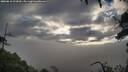 ./images/calvert/fitz-hugh-hecate/20250810/fitz-hugh-hecate20250810_074510M.jpg