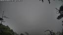 ./images/calvert/fitz-hugh-hecate/20250810/fitz-hugh-hecate20250810_080510M.jpg