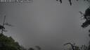 ./images/calvert/fitz-hugh-hecate/20250810/fitz-hugh-hecate20250810_081511M.jpg