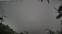 ./images/calvert/fitz-hugh-hecate/20250810/fitz-hugh-hecate20250810_082509M.jpg