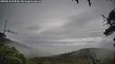 ./images/calvert/fitz-hugh-hecate/20250810/fitz-hugh-hecate20250810_094010M.jpg