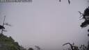 ./images/calvert/fitz-hugh-hecate/20250810/fitz-hugh-hecate20250810_155510M.jpg