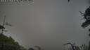 ./images/calvert/fitz-hugh-hecate/20250810/fitz-hugh-hecate20250810_191008M.jpg