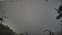 ./images/calvert/fitz-hugh-hecate/20250810/fitz-hugh-hecate20250810_192506M.jpg