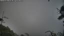 ./images/calvert/fitz-hugh-hecate/20250810/fitz-hugh-hecate20250810_193008M.jpg