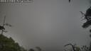 ./images/calvert/fitz-hugh-hecate/20250810/fitz-hugh-hecate20250810_194009M.jpg