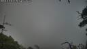 ./images/calvert/fitz-hugh-hecate/20250810/fitz-hugh-hecate20250810_194507M.jpg