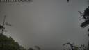./images/calvert/fitz-hugh-hecate/20250810/fitz-hugh-hecate20250810_195008M.jpg