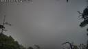 ./images/calvert/fitz-hugh-hecate/20250810/fitz-hugh-hecate20250810_201008M.jpg