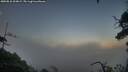 ./images/calvert/fitz-hugh-hecate/20250810/fitz-hugh-hecate20250810_204008M.jpg