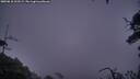 ./images/calvert/fitz-hugh-hecate/20250810/fitz-hugh-hecate20250810_212509M.jpg